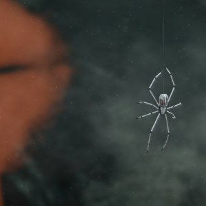 Grafitti (0-00-01-18) 1